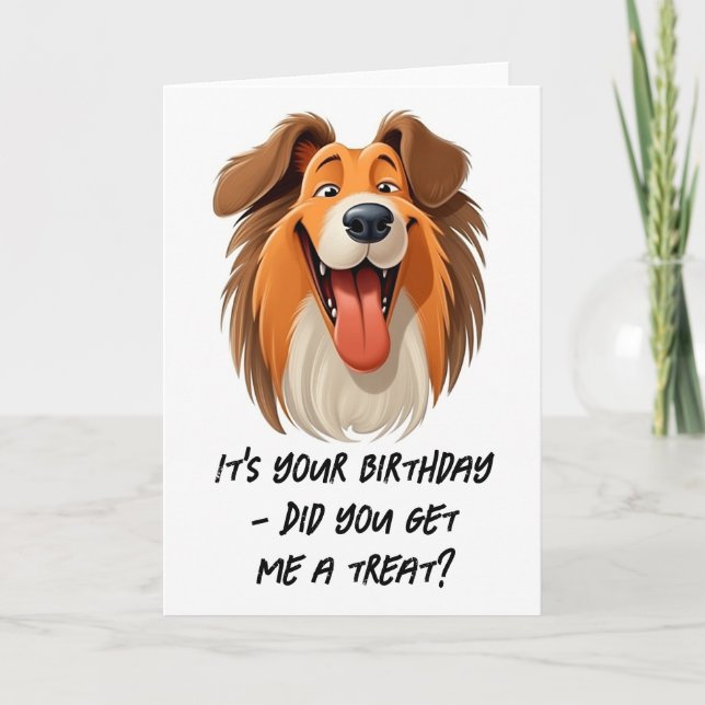 Collie Dog Birthday Card (Front)
