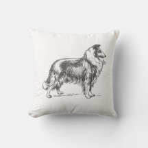 Collie Dog
