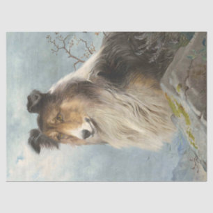 Collie Dog Decoupage Decoupaging Tissue Paper