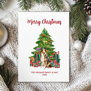 Collie Dog Family Christmas Holiday Card