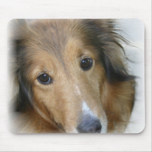 Collie Dog Mouse Pad