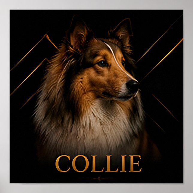 Collie Heritage Shepherd Collection Poster (Front)