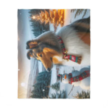Collie Holiday