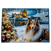 Collie Holiday