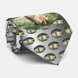 Collie in the Rough Grassland Tie