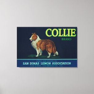 Collie Lemon LabelSan Dimas, CA Canvas Print