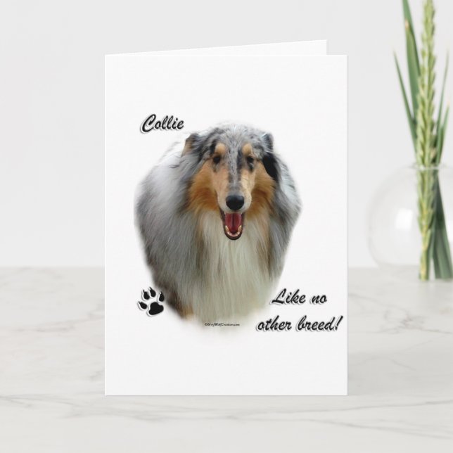 Collie Like No Other Breed Holiday Card (Front)
