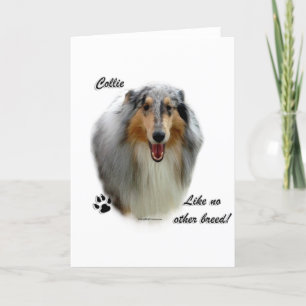 Collie Like No Other Breed Holiday Card