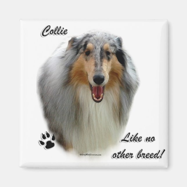 Collie Like No Other Breed Magnet (Front)