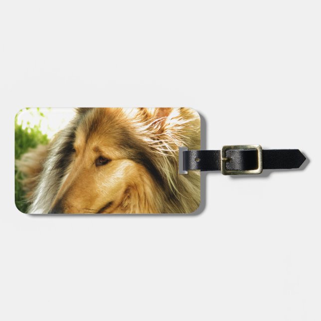 Collie Luggage Tag (Front Horizontal)