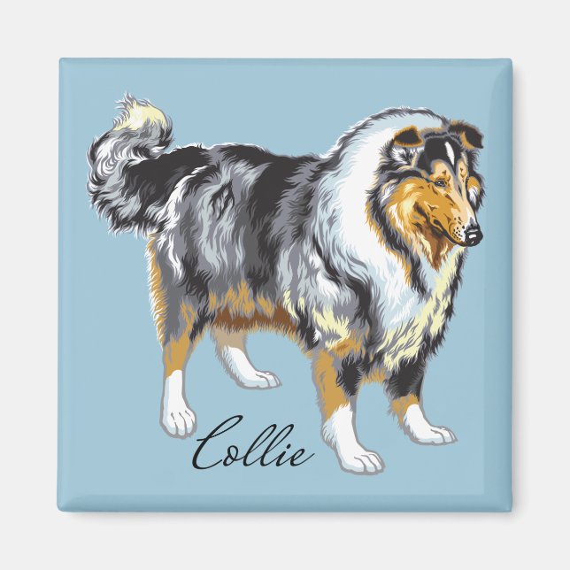 collie magnet (Front)