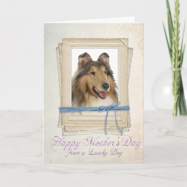 Collie Mother's Day Card (Front)