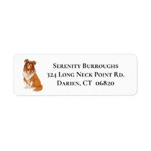 Collie Mum Puppy Dog Dad Fur Mama Lassie Rescue