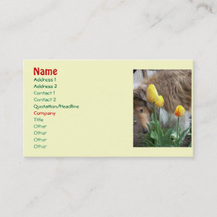 Collie n' Tulips Business cards
