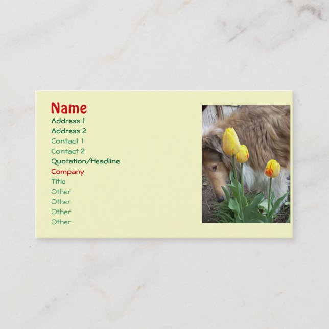 Collie n' Tulips Business cards (Front)