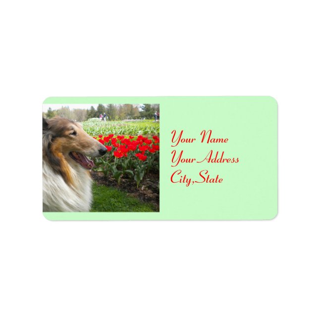Collie N Tulips Labels (Front)
