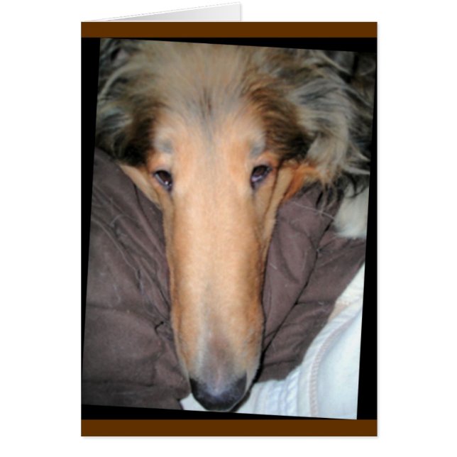 Collie "Nose" Love Card (Front)