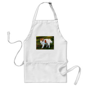 Collie on Lawn Standard Apron