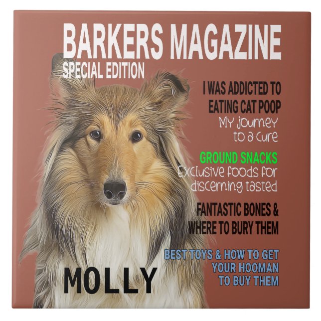 Collie Parody Magazine Cover Tile (Front)