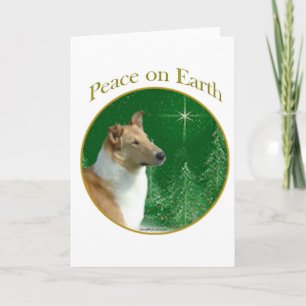 Collie Peace Holiday Card