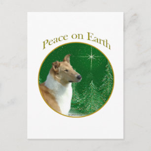 Collie Peace on Earth Postcard