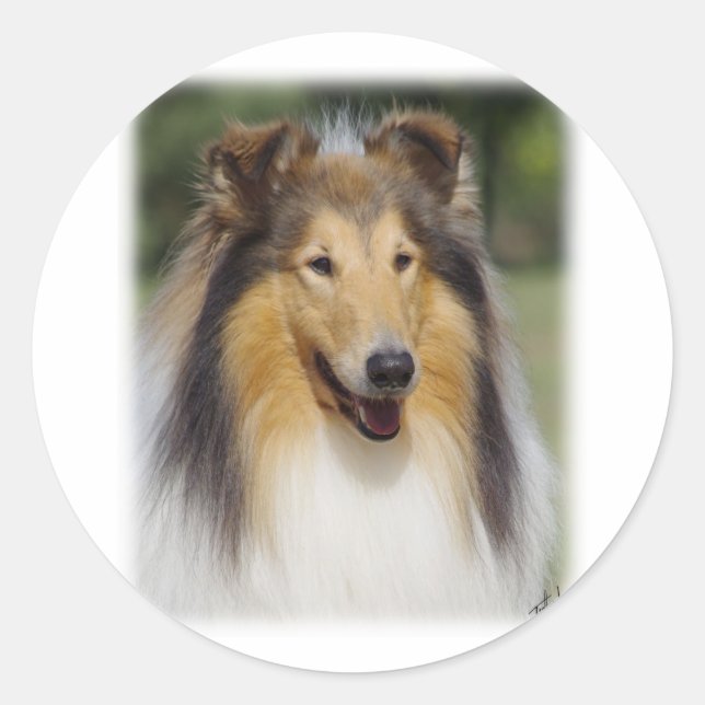 Collie Roiugh AA011D-031 Classic Round Sticker (Front)