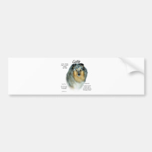 Collie (rough merle) History Design Bumper Sticker