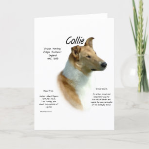 Collie (sable smooth) History Design Holiday Card