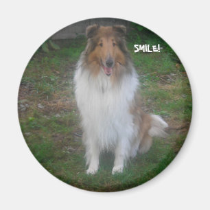COLLIE SMILE! MAGNET