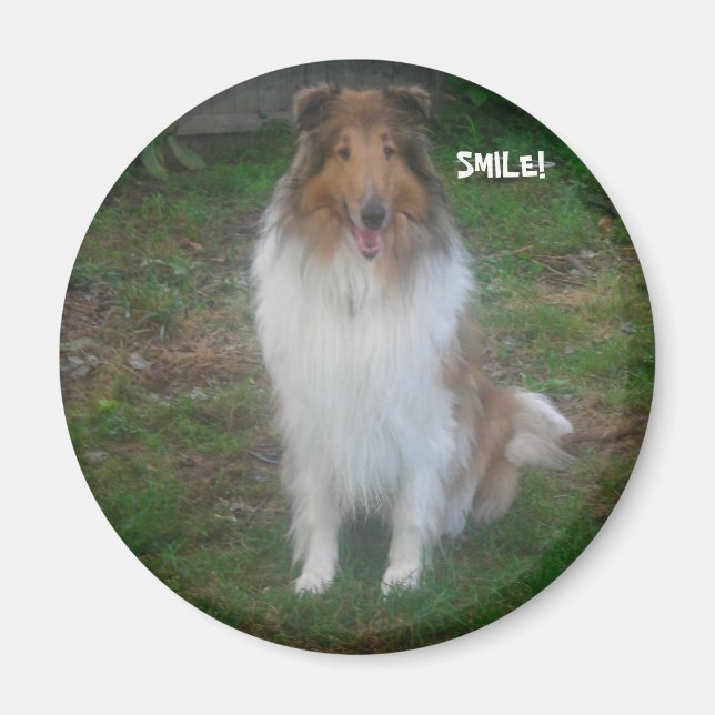 COLLIE SMILE! MAGNET (Front)
