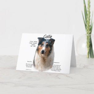 Collie (smooth merle) History Design Holiday Card