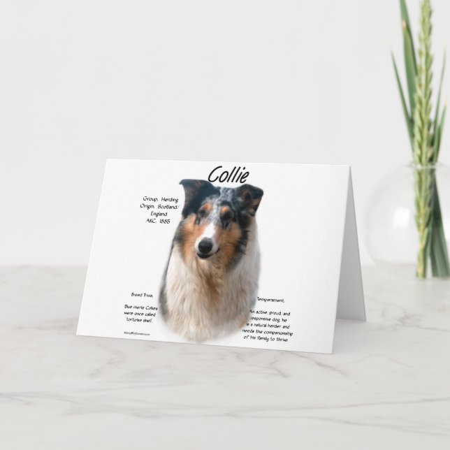 Collie (smooth merle) History Design Holiday Card (Front)