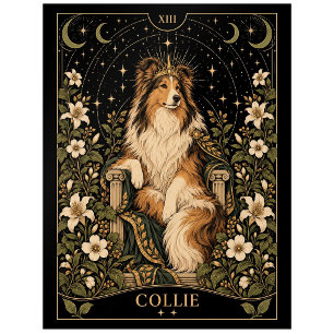 Collie, Starlit Tarot Art Postcard