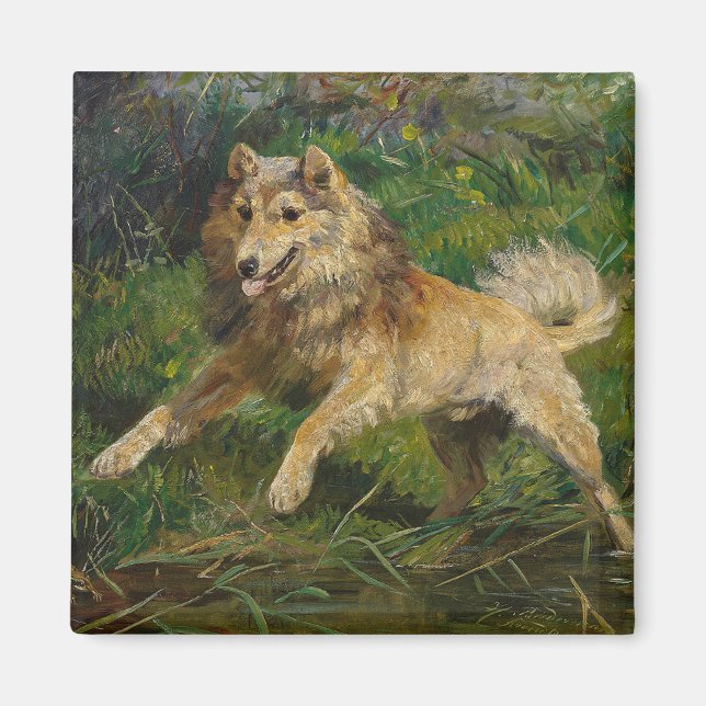 Collie Takes on a Frog by Hermine Biedermann Magnet (Front)