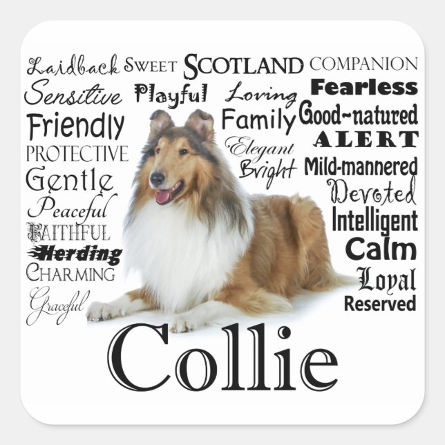 Collie Traits Stickers (Front)