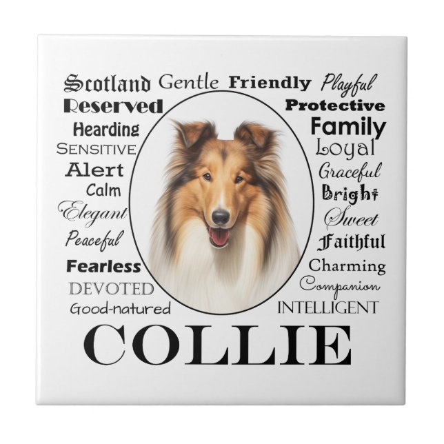 Collie Traits Tile (Front)