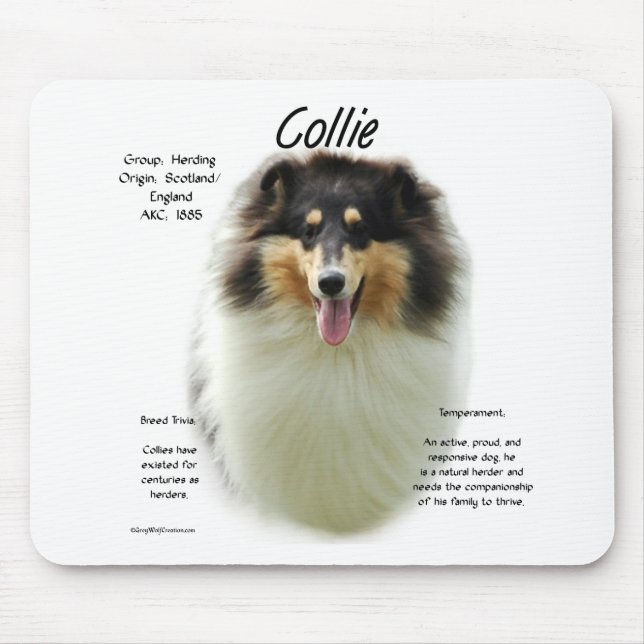 Collie (tri rough) History Design Mouse Pad (Front)