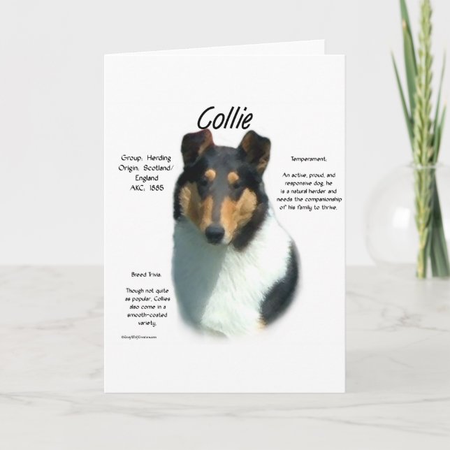 Collie (tri smooth) History Design Holiday Card (Front)