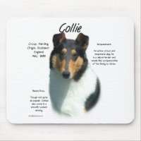 Collie (tri smooth) History Design