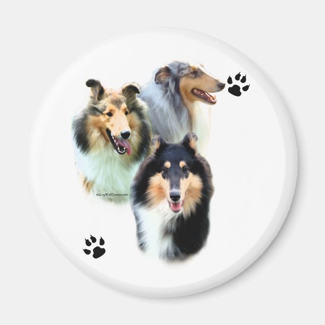 Collie Trio - Magnet (Front)