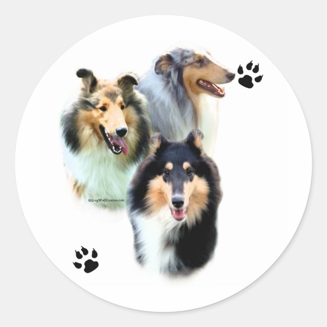 Collie Trio - Sticker (Front)