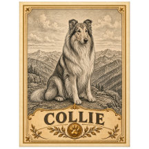 Collie, Vintage Heritage Dog