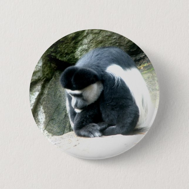 Colobus 6 Cm Round Badge (Front)