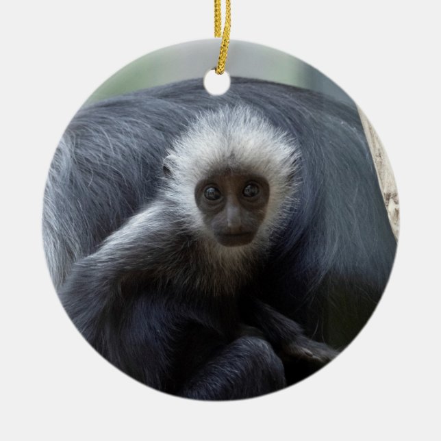 Colobus polykomos ceramic tree decoration (Front)