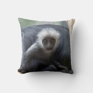 Colobus polykomos cushion