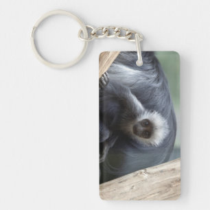 Colobus polykomos key ring