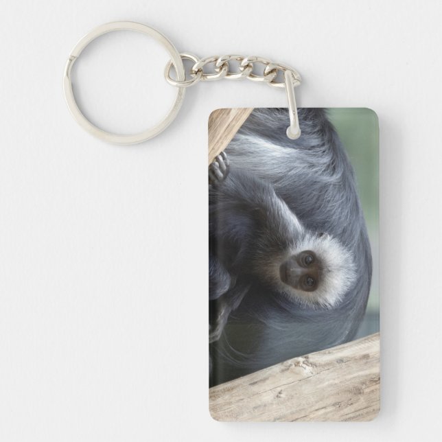 Colobus polykomos key ring (Front)