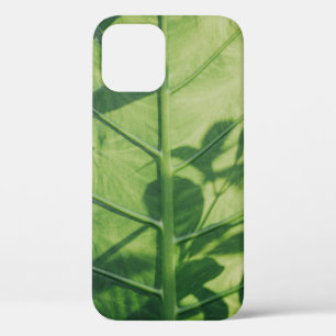 Colocasia esculenta leaf iPhone 12 case