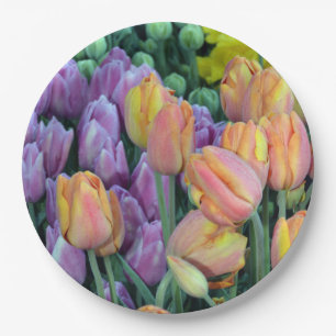 Coloful bunches of tulips paper plate