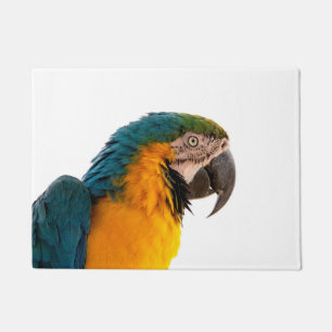 coloful Parrot Doormat